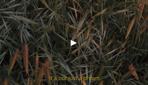 007 - [Video] Dream Development
